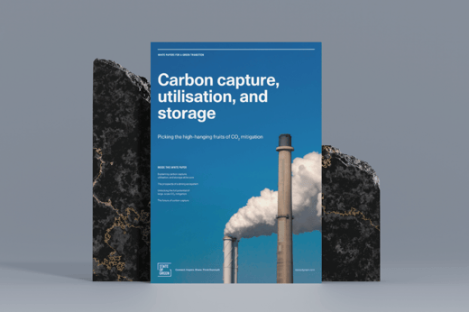 CCUS publikation WP grafik