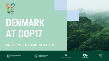 COP17 Webheader