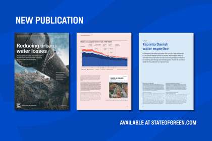 WP visual - Reducing urban water losses