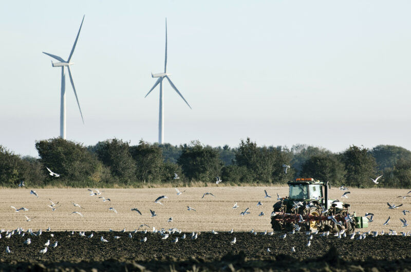 danish-countryside-farming-and-windturbines_1204-800x529